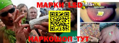 прущие грибы Ачхой-Мартан