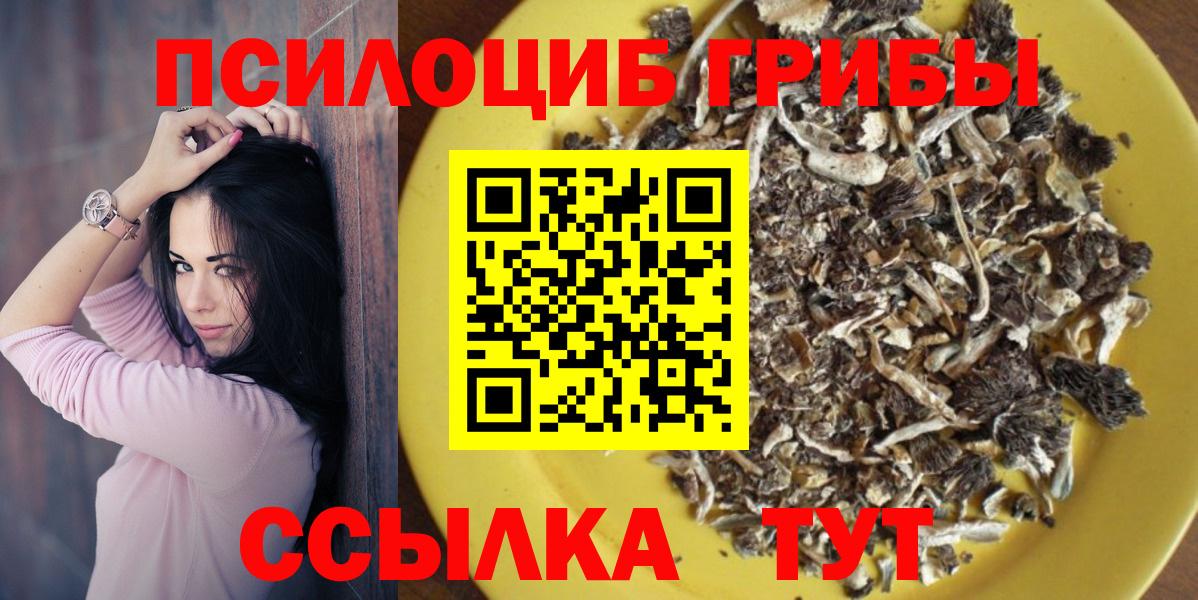 Галлюциногенные грибы Psilocybine cubensis  Галлюциногенные грибы прущие грибы  Вход с VPN  Нягань 